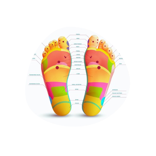 Qu'est que c'est ? Comment ça fonctionne ?